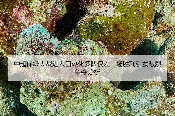 zhong-chao-bao-ji-da-zhan-jin-ru-bai-re-hua-duo-dui-jin-cha-yi-chang-sheng-li-yin-fa-ji-lie-zheng-duo-fen-xi-1-119.jpg